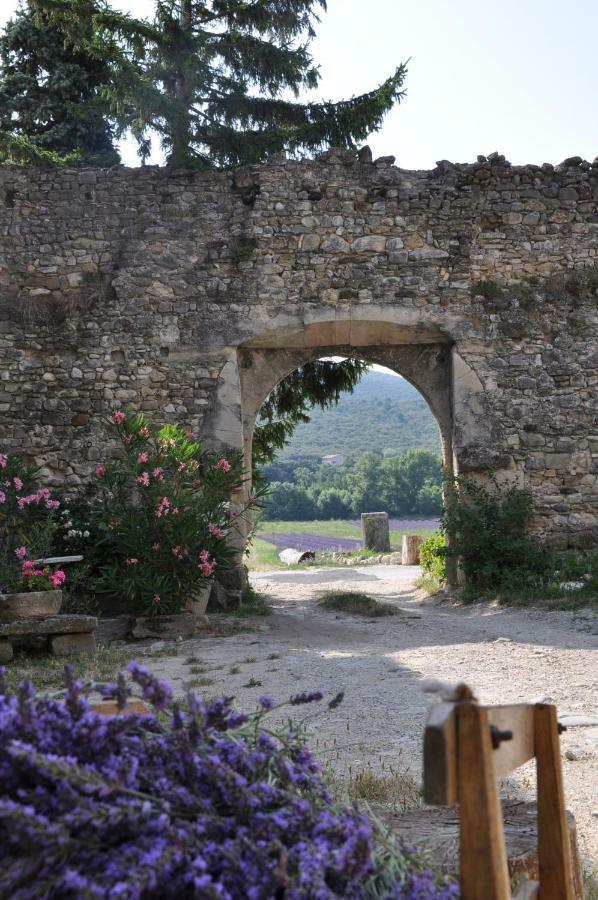 Gites Du Chateau D'Alencon Le Pegue Екстер'єр фото