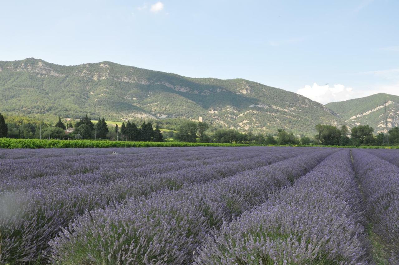 Gites Du Chateau D'Alencon Le Pegue Екстер'єр фото