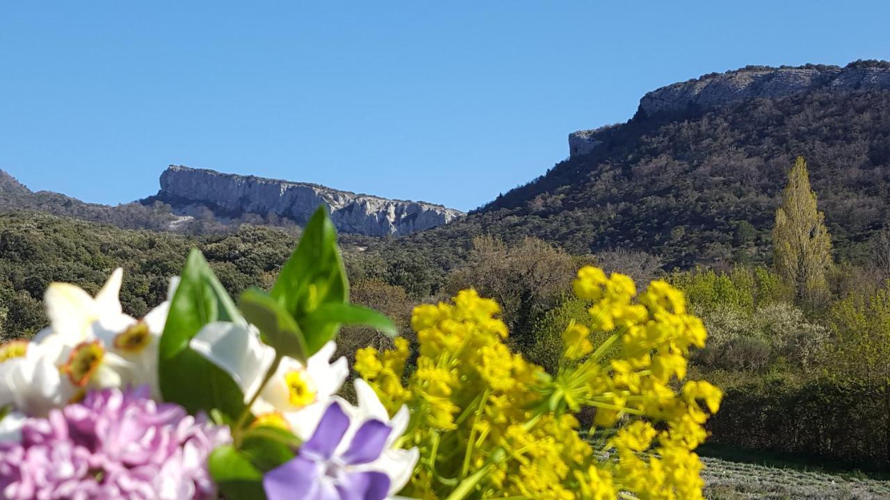 Gites Du Chateau D'Alencon Le Pegue Екстер'єр фото