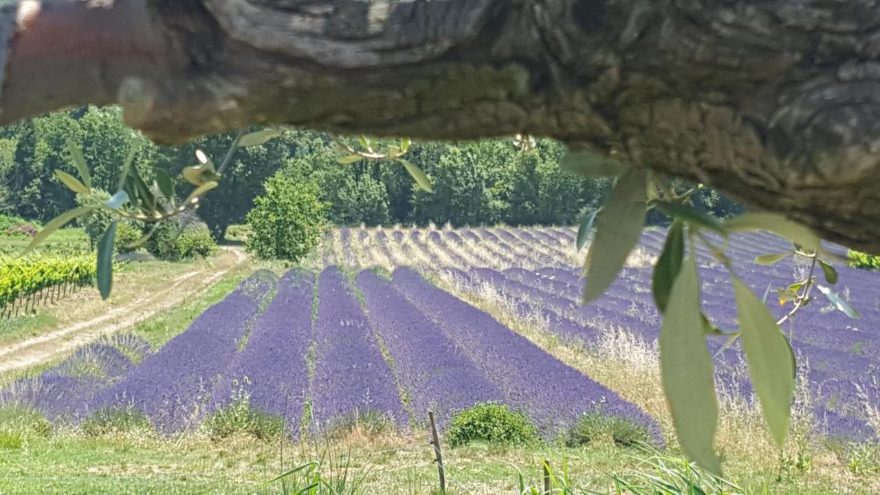 Gites Du Chateau D'Alencon Le Pegue Екстер'єр фото